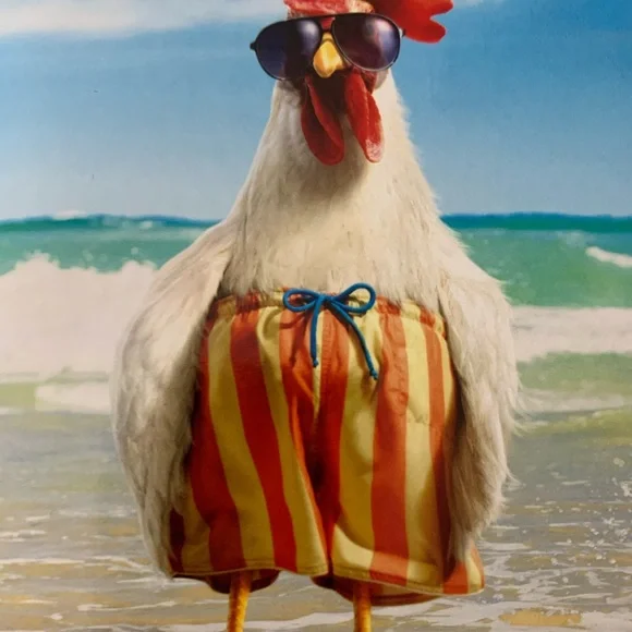 🥗BUNDLE SPECIAL🥗 - Picture 1 of 3